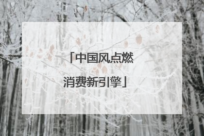 中国风点燃消费新引擎