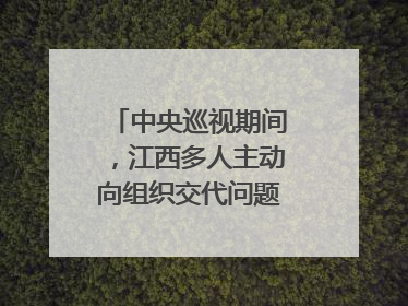 中央巡视期间，江西多人主动向组织交代问题｜打虎拍蝇