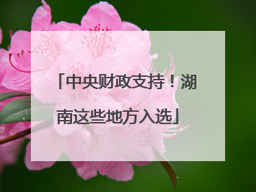中央财政支持！湖南这些地方入选