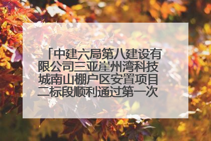 中建六局第八建设有限公司三亚崖州湾科技城南山棚户区安置项目二标段顺利通过第一次主体结构验收