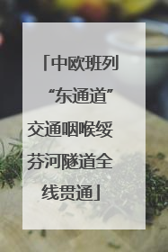 中欧班列“东通道”交通咽喉绥芬河隧道全线贯通