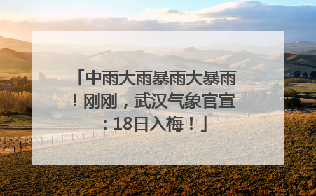 中雨大雨暴雨大暴雨！刚刚，武汉气象官宣：18日入梅！