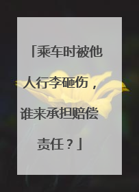 乘车时被他人行李砸伤，谁来承担赔偿责任？