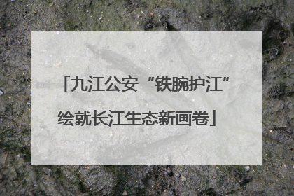 九江公安“铁腕护江”绘就长江生态新画卷