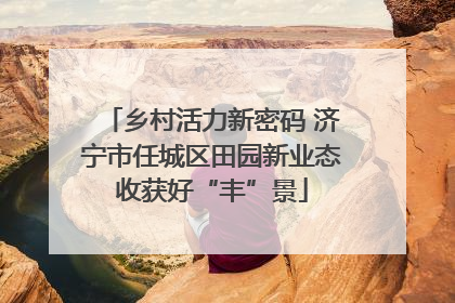 乡村活力新密码 济宁市任城区田园新业态收获好“丰”景