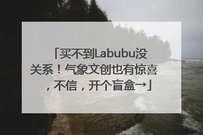 买不到Labubu没关系！气象文创也有惊喜，不信，开个盲盒→
