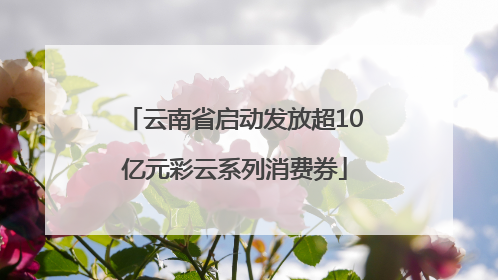 云南省启动发放超10亿元彩云系列消费券