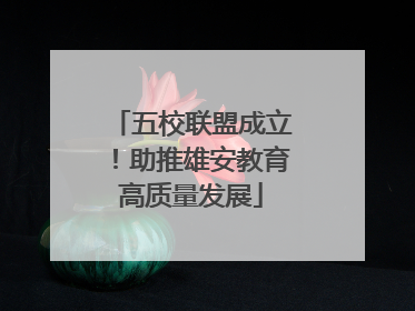 五校联盟成立！助推雄安教育高质量发展