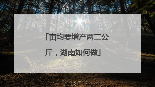 亩均要增产两三公斤，湖南如何做