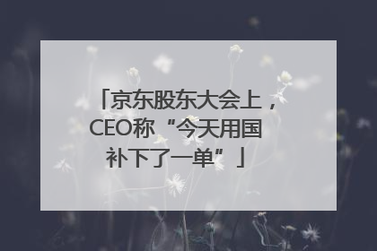 京东股东大会上，CEO称“今天用国补下了一单”