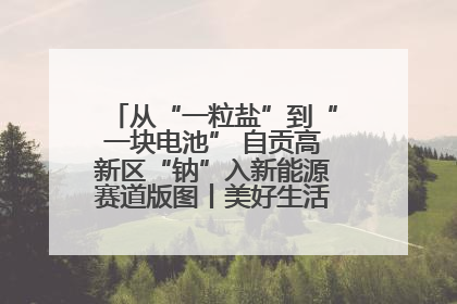 从“一粒盐”到“一块电池” 自贡高新区“钠”入新能源赛道版图丨美好生活有“盐”味