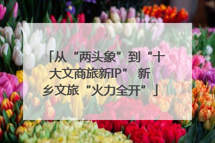 从“两头象”到“十大文商旅新IP” 新乡文旅“火力全开”