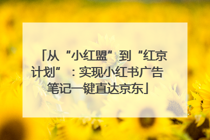从“小红盟”到“红京计划”：实现小红书广告笔记一键直达京东
