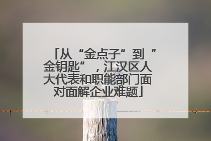 从“金点子”到“金钥匙”，江汉区人大代表和职能部门面对面解企业难题