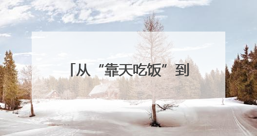 从“靠天吃饭”到“云端种地”！莱芜区“空天地网”织出数字农业新图景