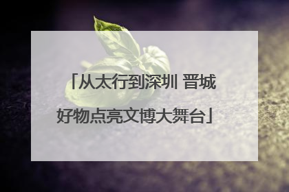 从太行到深圳 晋城好物点亮文博大舞台