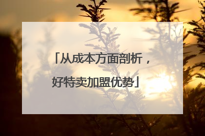 从成本方面剖析，好特卖加盟优势