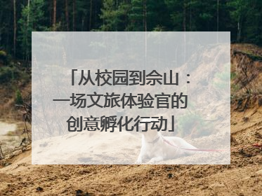 从校园到佘山：一场文旅体验官的创意孵化行动