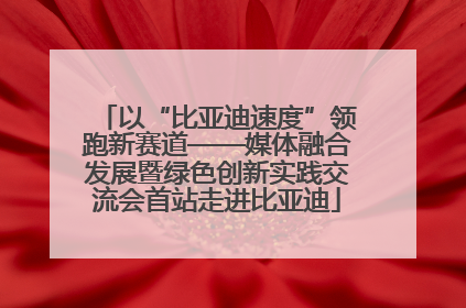 以“比亚迪速度”领跑新赛道——媒体融合发展暨绿色创新实践交流会首站走进比亚迪