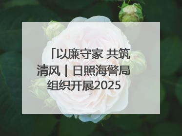 以廉守家 共筑清风｜日照海警局组织开展2025年集中送廉活动