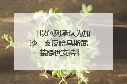 以色列承认为加沙一支反哈马斯武装提供支持