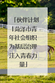 伙伴计划│菏泽市青年社会组织为基层治理注入青春力量