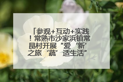 参观+互动+实践！常熟市沙家浜镇常昆村开展“爱‘新’之旅‘蔬’适生活”参观学习活动