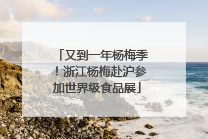 又到一年杨梅季！浙江杨梅赴沪参加世界级食品展