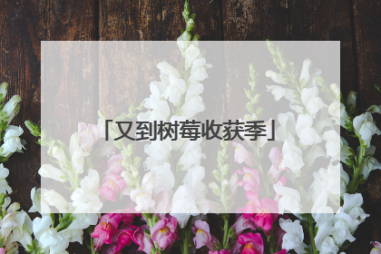 又到树莓收获季