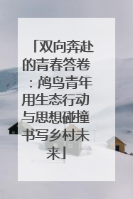 双向奔赴的青春答卷：鸬鸟青年用生态行动与思想碰撞书写乡村未来