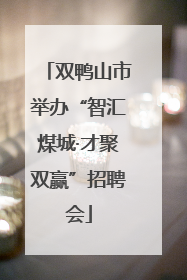 双鸭山市举办“智汇煤城·才聚双赢”招聘会