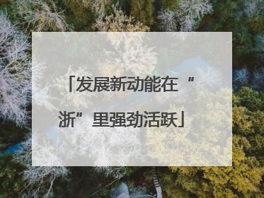 发展新动能在“浙”里强劲活跃