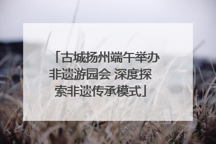 古城扬州端午举办非遗游园会 深度探索非遗传承模式
