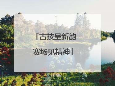 古技呈新韵 赛场见精神