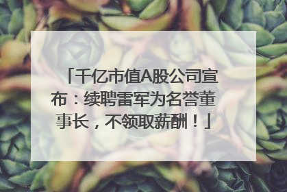 千亿市值A股公司宣布：续聘雷军为名誉董事长，不领取薪酬！