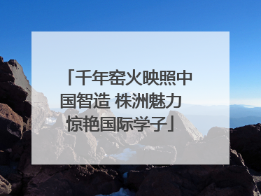 千年窑火映照中国智造 株洲魅力惊艳国际学子