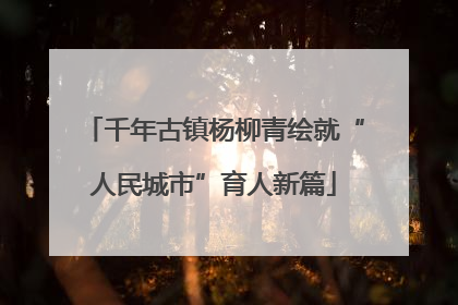 千年古镇杨柳青绘就“人民城市”育人新篇