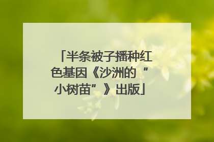 半条被子播种红色基因《沙洲的“小树苗”》出版