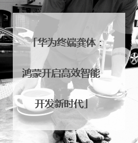 华为终端龚体：鸿蒙开启高效智能开发新时代