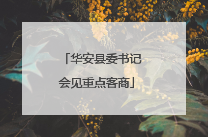 华安县委书记会见重点客商