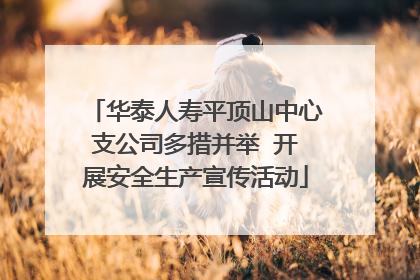 华泰人寿平顶山中心支公司多措并举  开展安全生产宣传活动