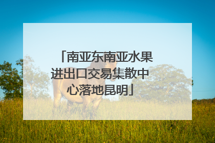南亚东南亚水果进出口交易集散中心落地昆明