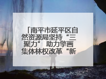 南平市延平区自然资源局坚持“三聚力” 助力擎画集体林权改革“新图景”