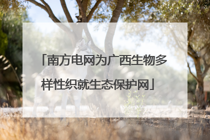 南方电网为广西生物多样性织就生态保护网
