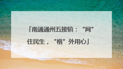 南通通州五接镇：“网”住民生，“格”外用心