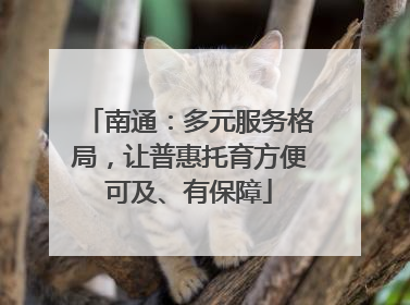南通：多元服务格局，让普惠托育方便可及、有保障