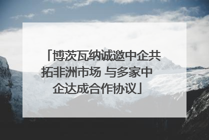 博茨瓦纳诚邀中企共拓非洲市场 与多家中企达成合作协议