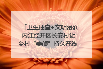 卫生抽查+文明浸润 内江经开区长安村让乡村“美颜”持久在线｜万千气象看四川