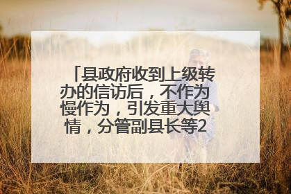 县政府收到上级转办的信访后，不作为慢作为，引发重大舆情，分管副县长等25人被处理