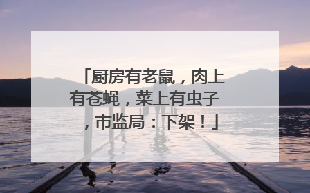 厨房有老鼠，肉上有苍蝇，菜上有虫子，市监局：下架！